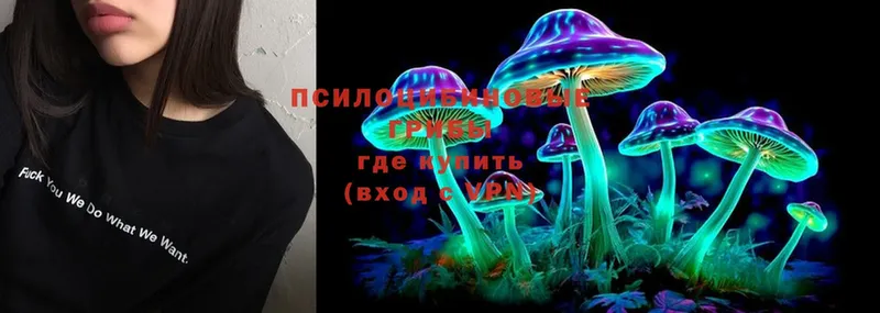 Псилоцибиновые грибы Psilocybine cubensis  Мичуринск 